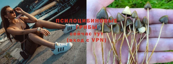 прущий лед Данков